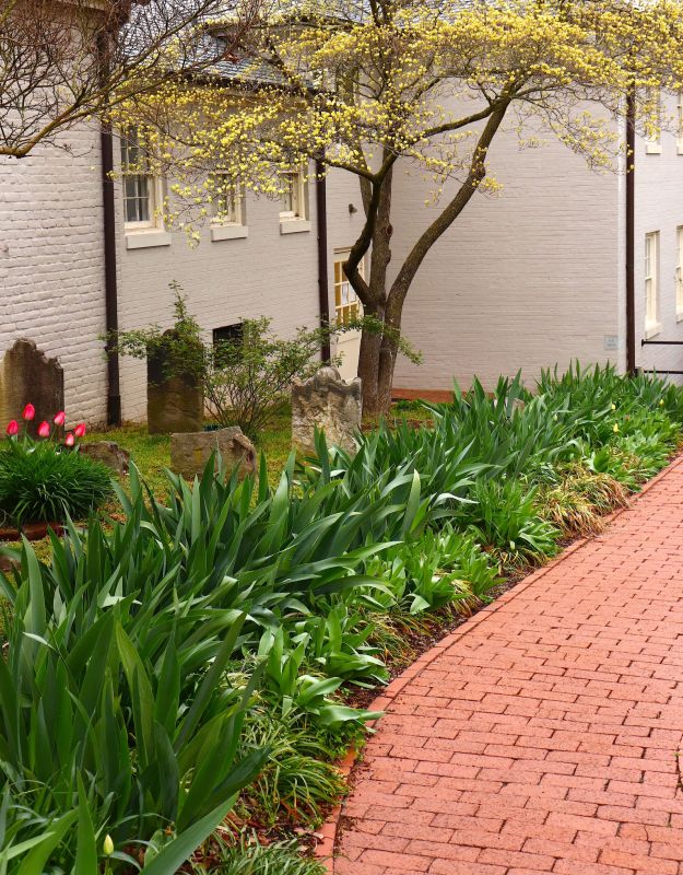 Brick Pathway Repair in Napa, CA