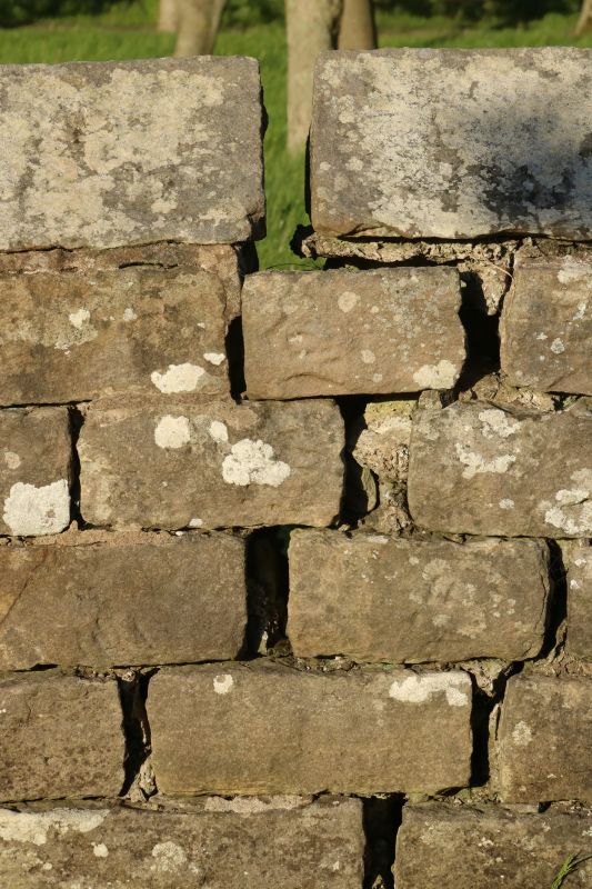 Stone Wall Repair in Penngrove, CA