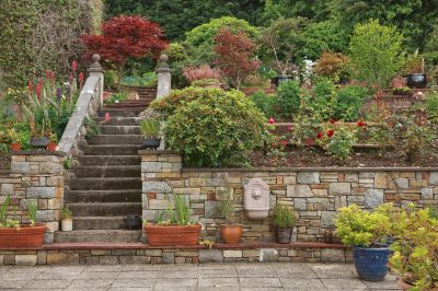 Stone Wall Repair in Petaluma, CA
